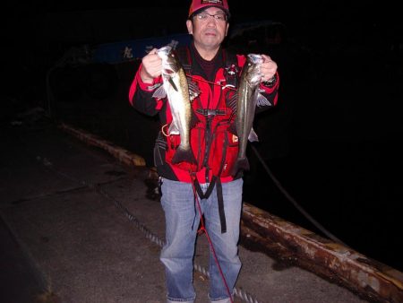 電気ウキで狙う夜釣りのフッコ